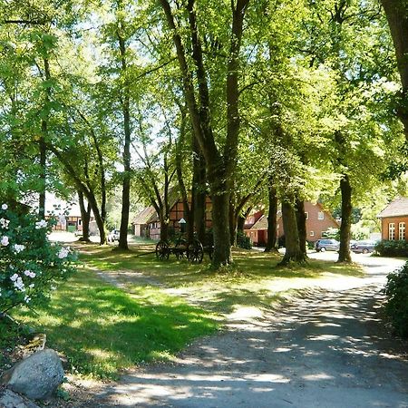 Ferienpension Lindenhof - Ferienwohnungen In Der Lueneburger Heide Marxen am Berge Εξωτερικό φωτογραφία