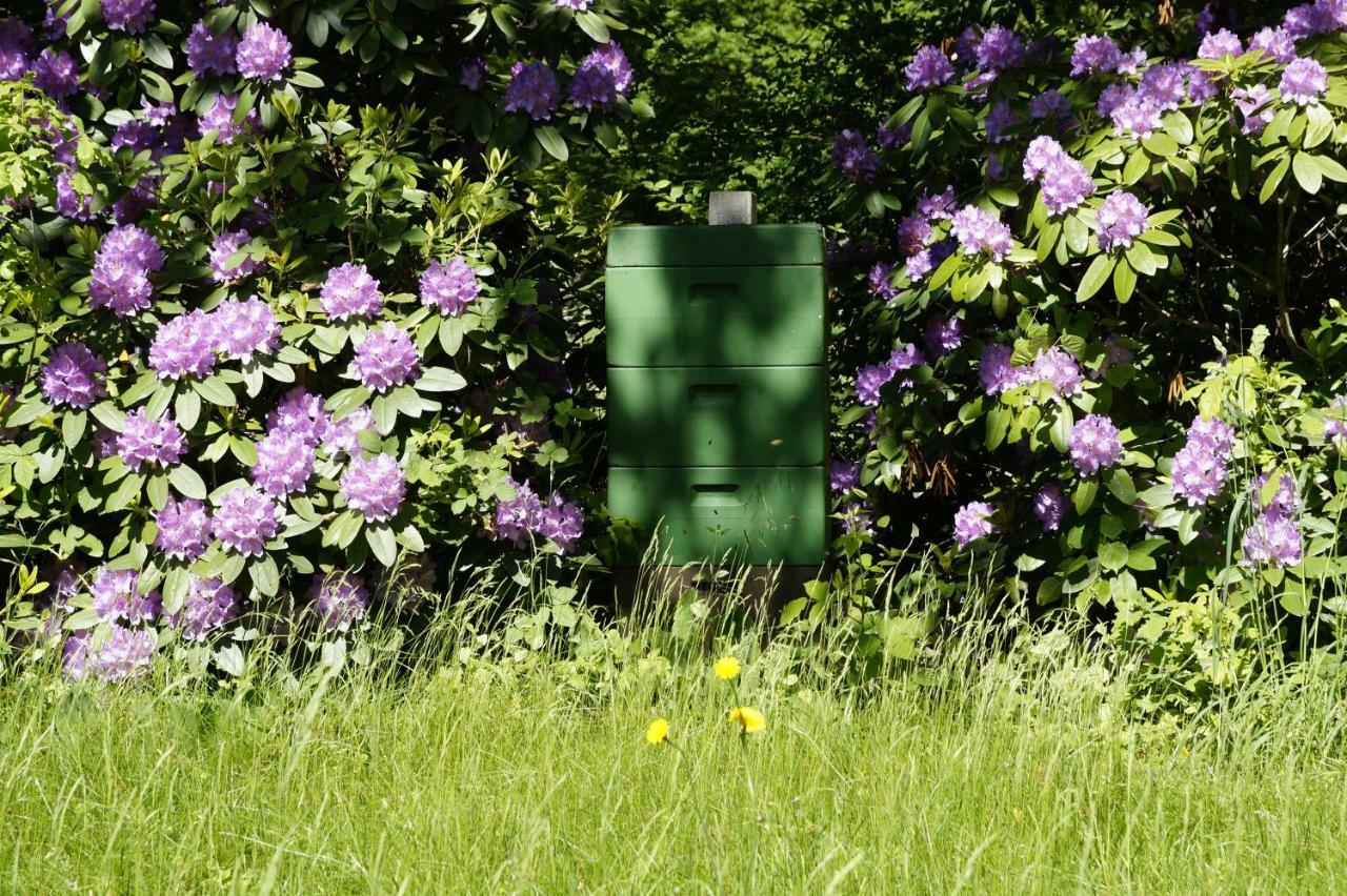 Ferienpension Lindenhof - Ferienwohnungen In Der Lueneburger Heide Marxen am Berge Εξωτερικό φωτογραφία