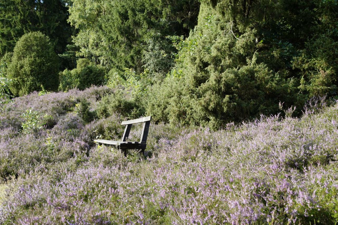 Ferienpension Lindenhof - Ferienwohnungen In Der Lueneburger Heide Marxen am Berge Εξωτερικό φωτογραφία